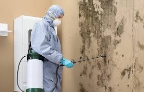 Best Environmental Consulting for Mold Prevention  in Logan, IA